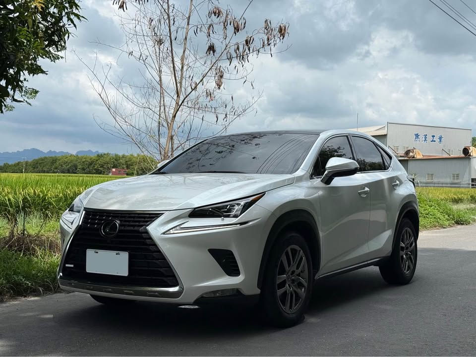2020年 Lexus NX300 旗艦版 中古車照片 - Orange Garage