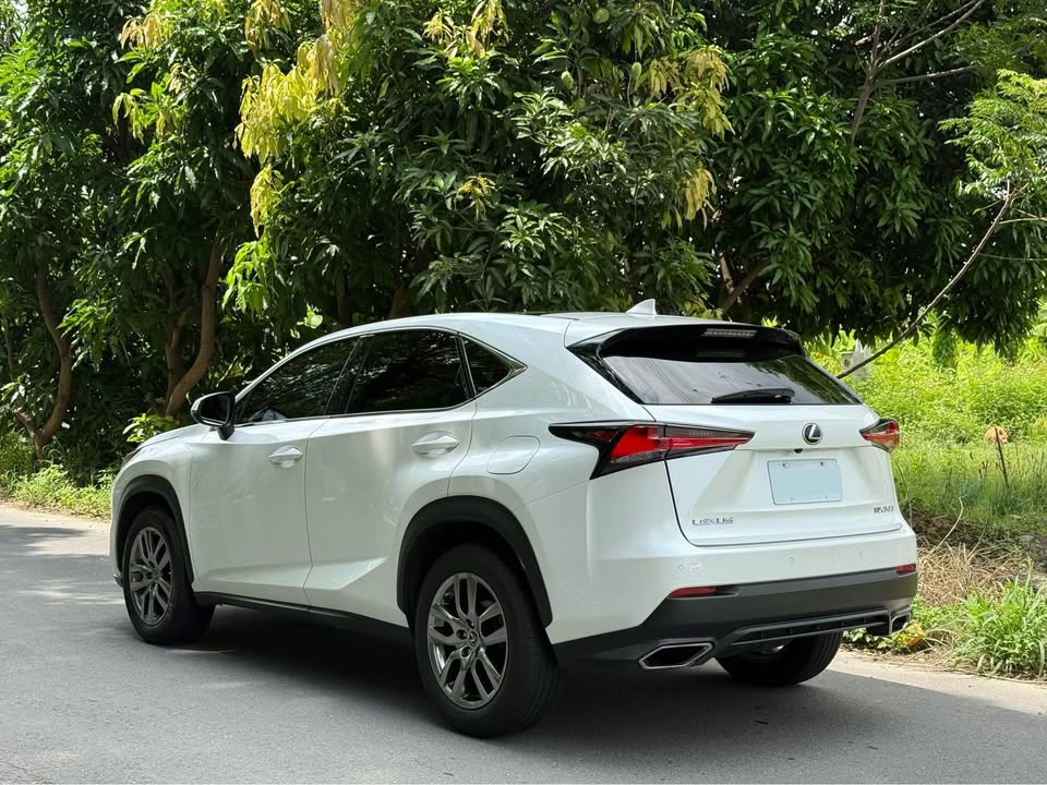 2020年 Lexus NX300 旗艦版 中古車照片 - Orange Garage
