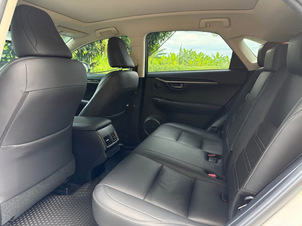 2020年 Lexus NX300 旗艦版 中古車照片 - Orange Garage