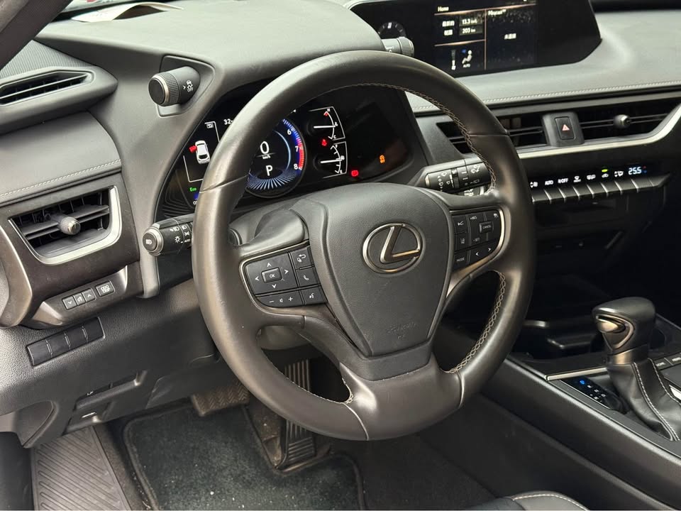 2021年 Lexus UX200 菁英Plus 中古車照片 - Orange Garage