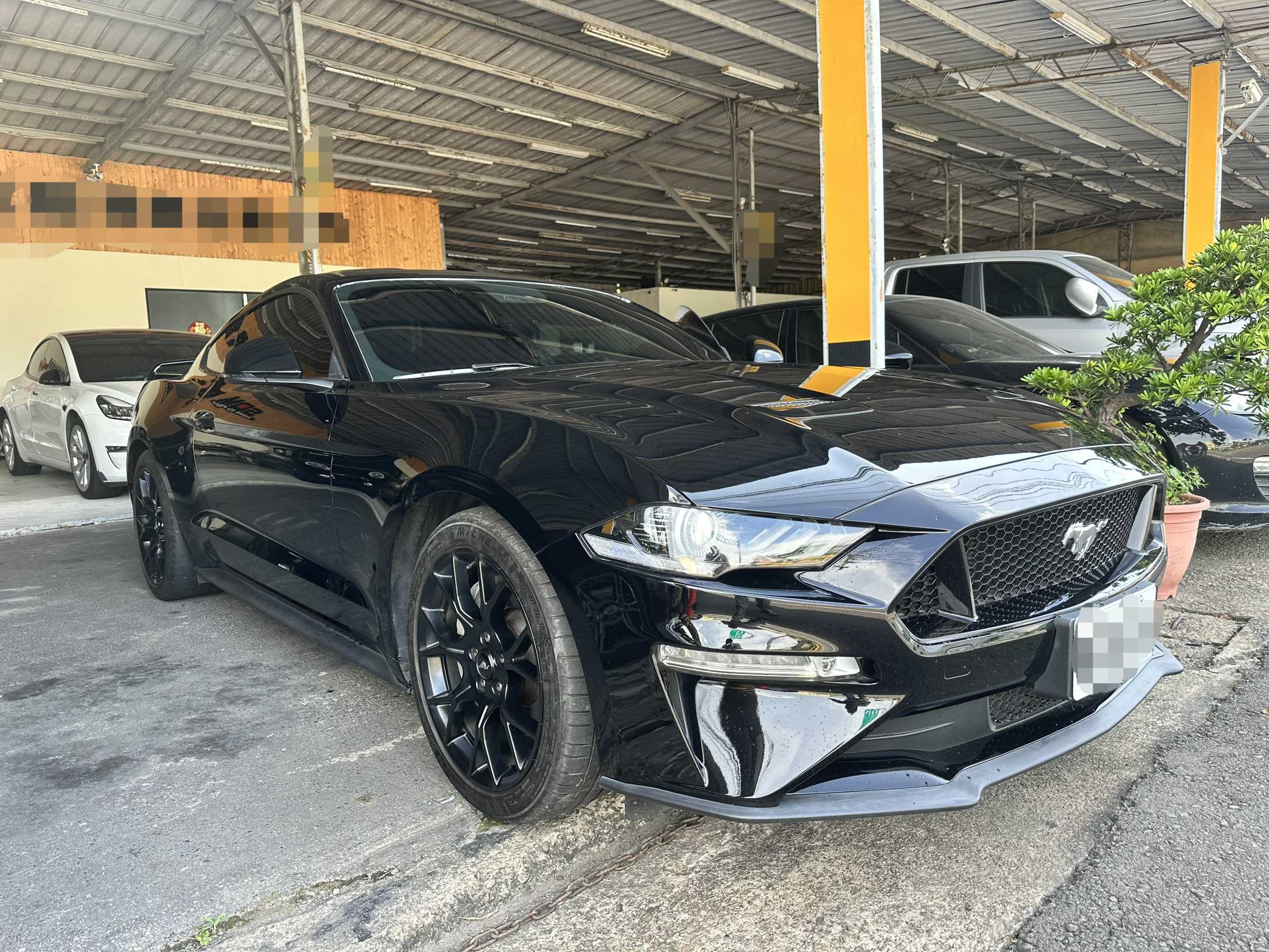 2019年 Ford Mustang 2.3 EcoBoost 中古車照片 - Orange Garage