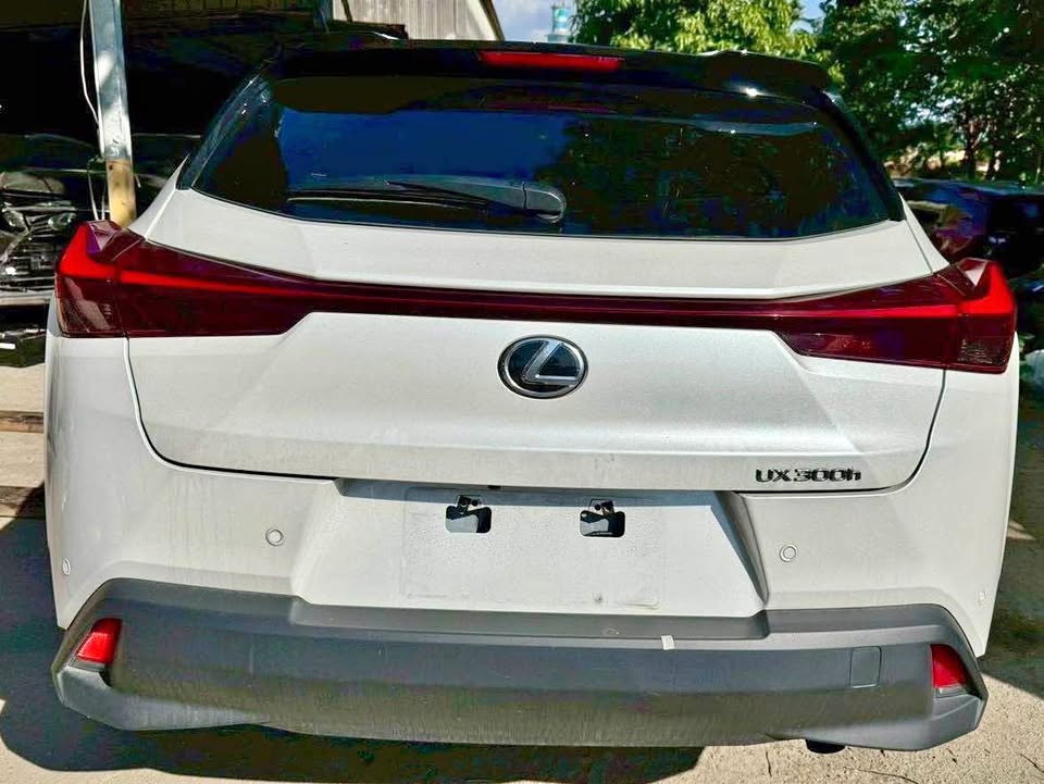 Lexus UX300h 整車拆賣 二手零件照片 - Orange Garage