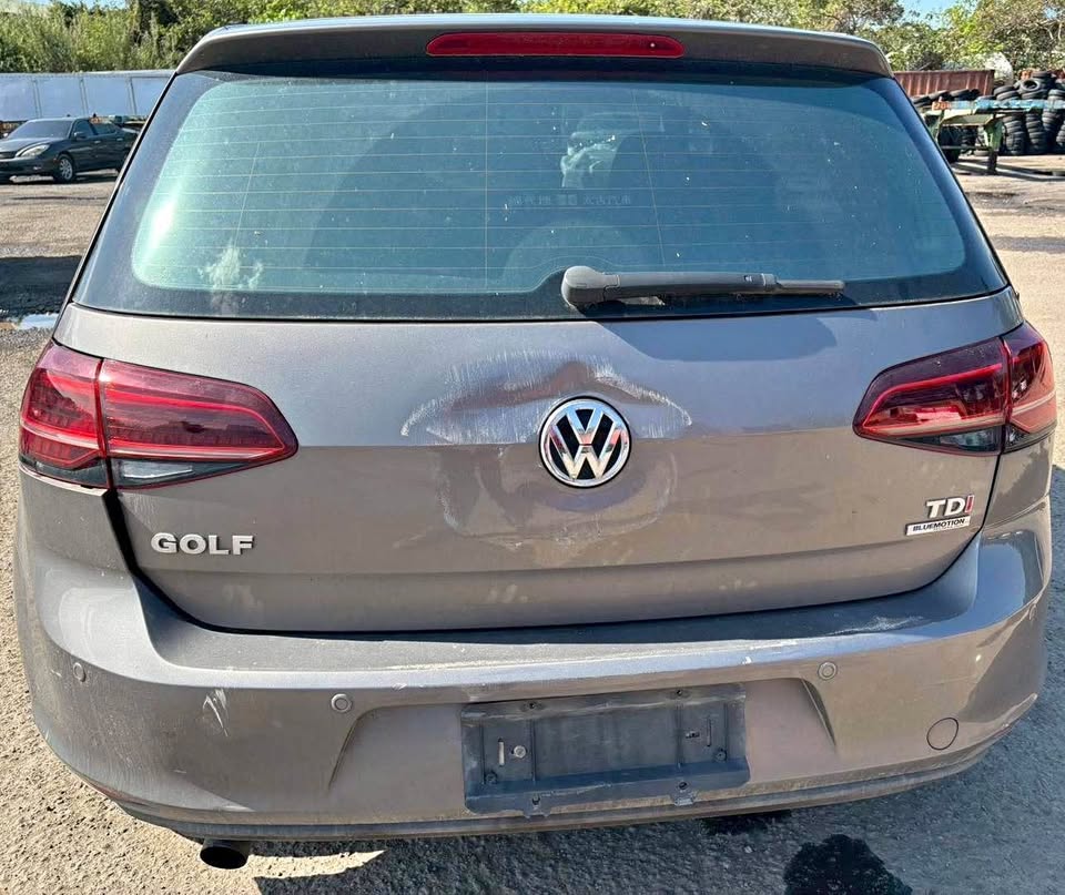 Volkswagen Golf 1.6 TDI 整車拆賣 二手零件照片 - Orange Garage